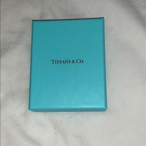 Tiffany & Co Box and Pouch